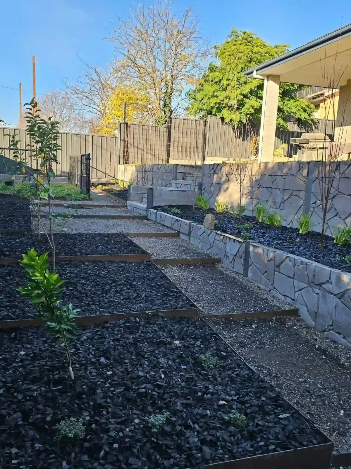 Dust To Lawn landscaping project in Canberra, photo 21