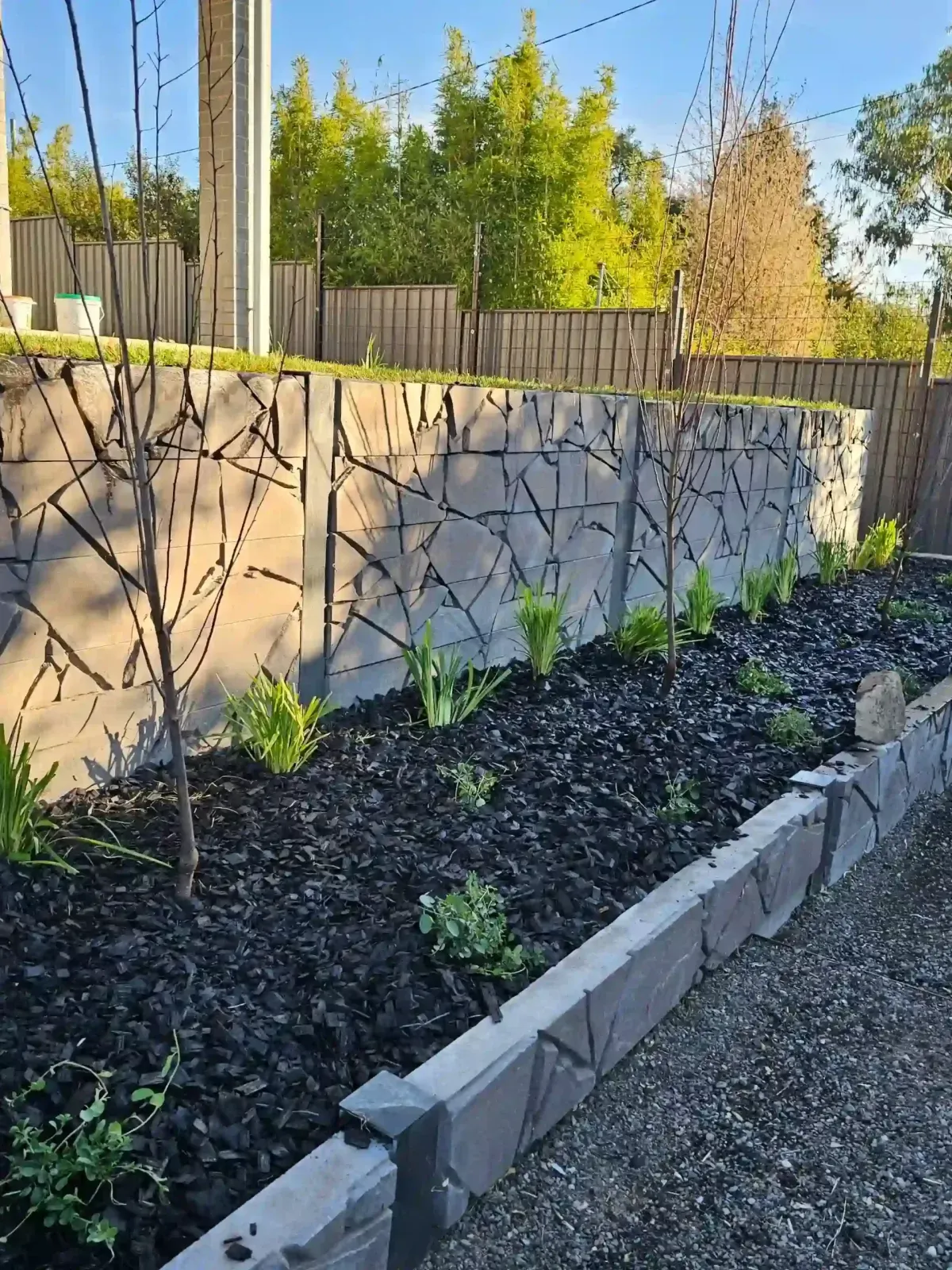 Dust To Lawn landscaping project in Canberra, photo 22