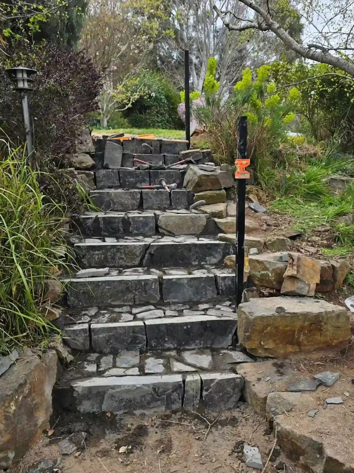 Dust To Lawn landscaping project in Canberra, photo 25