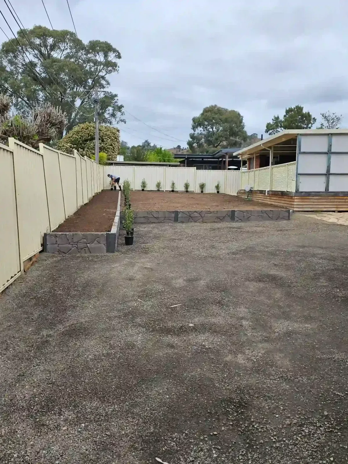 Dust To Lawn landscaping project in Canberra, photo 28