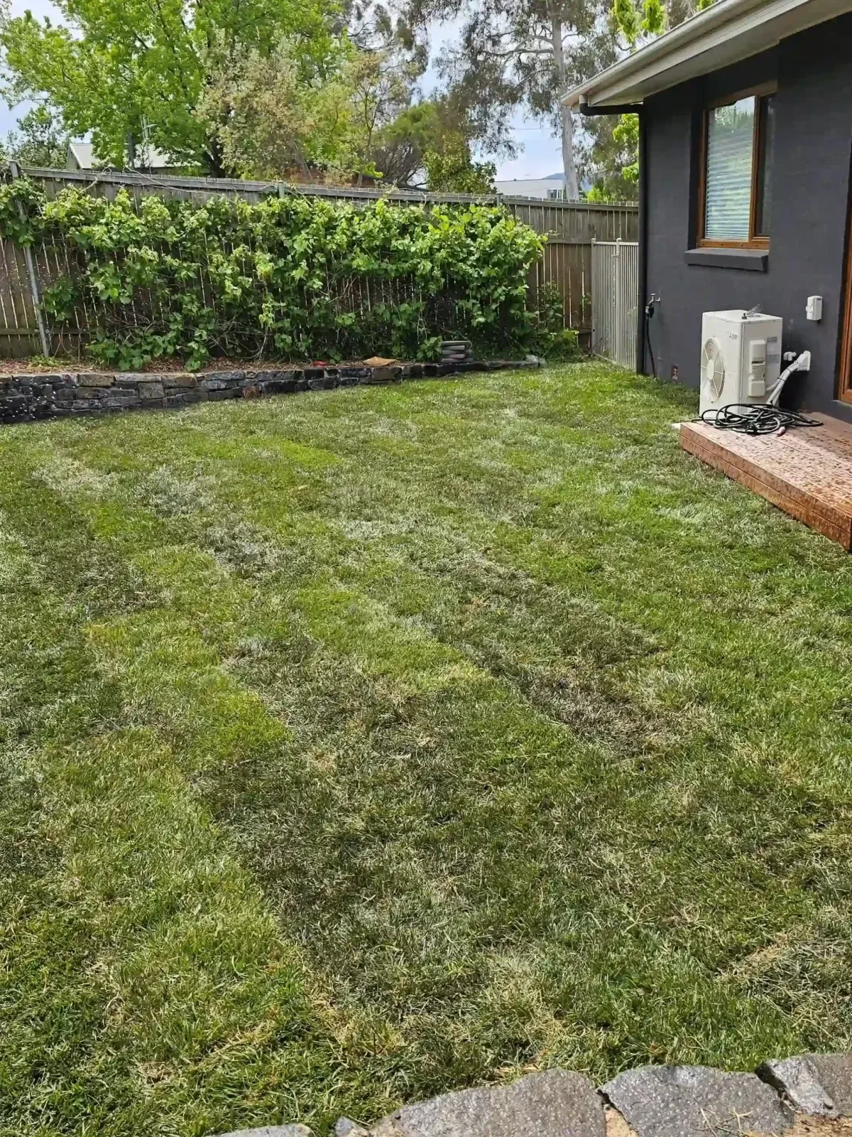Dust To Lawn landscaping project in Canberra, photo 33