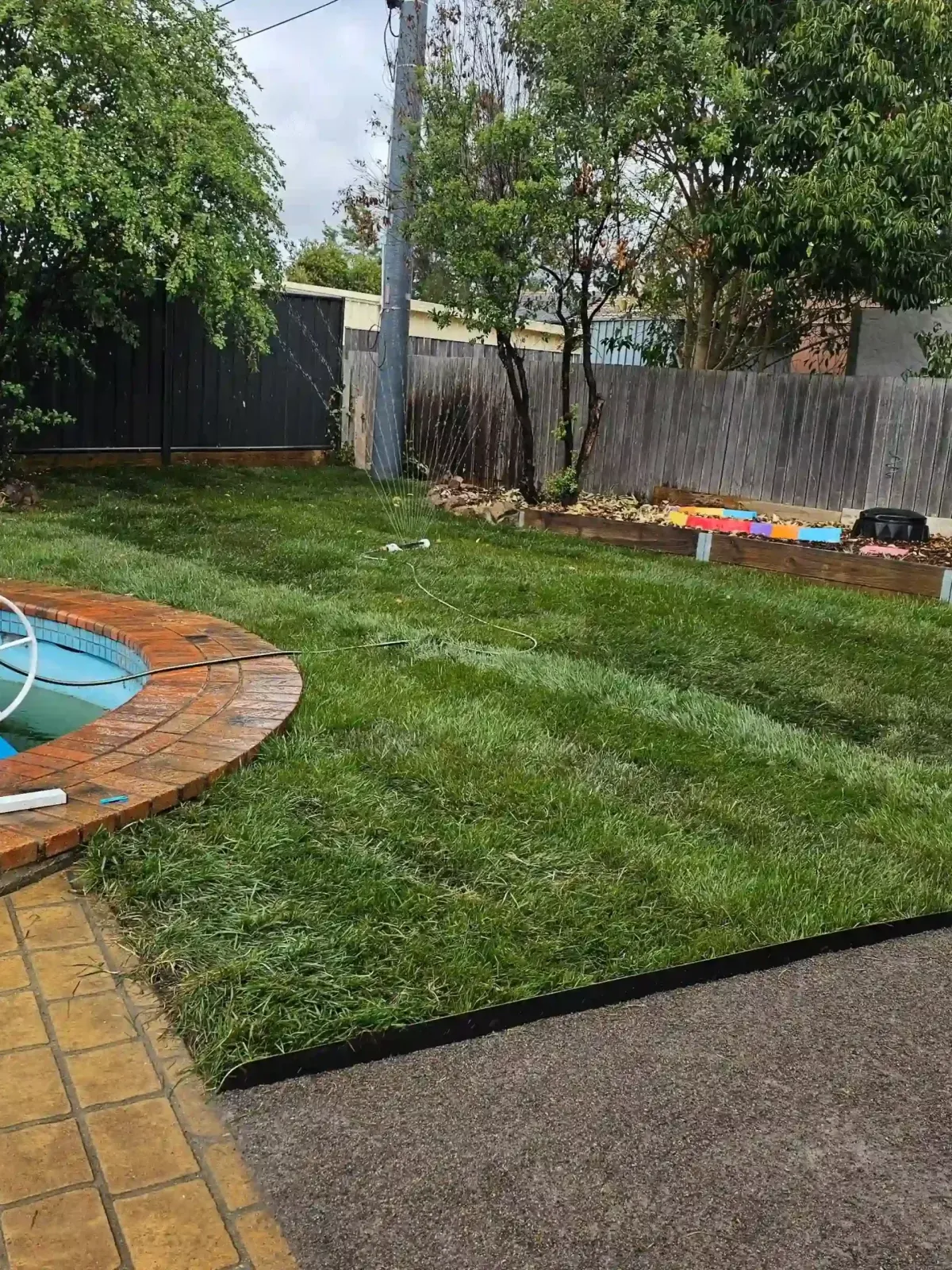 Dust To Lawn landscaping project in Canberra, photo 35