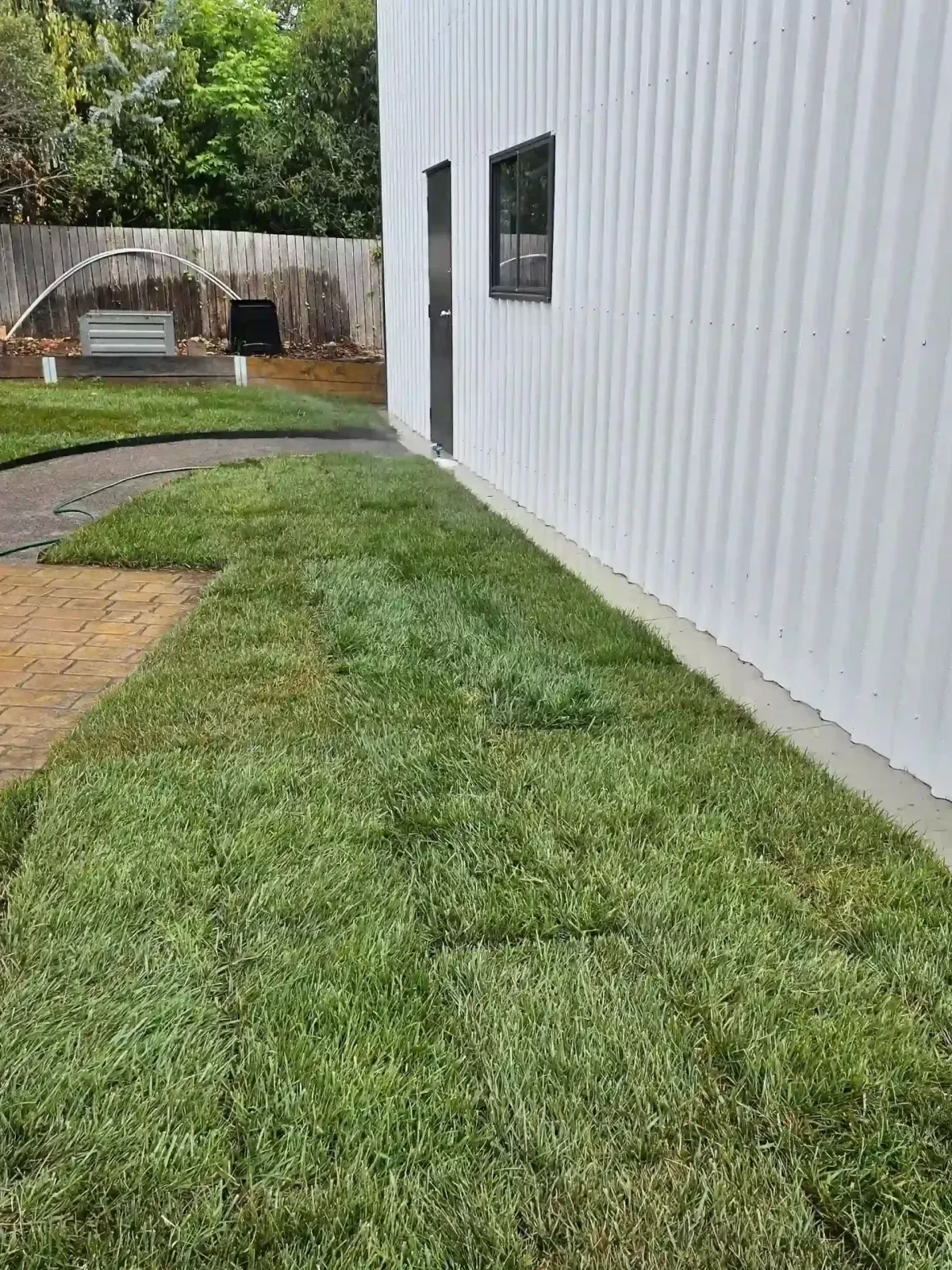 Dust To Lawn landscaping project in Canberra, photo 36