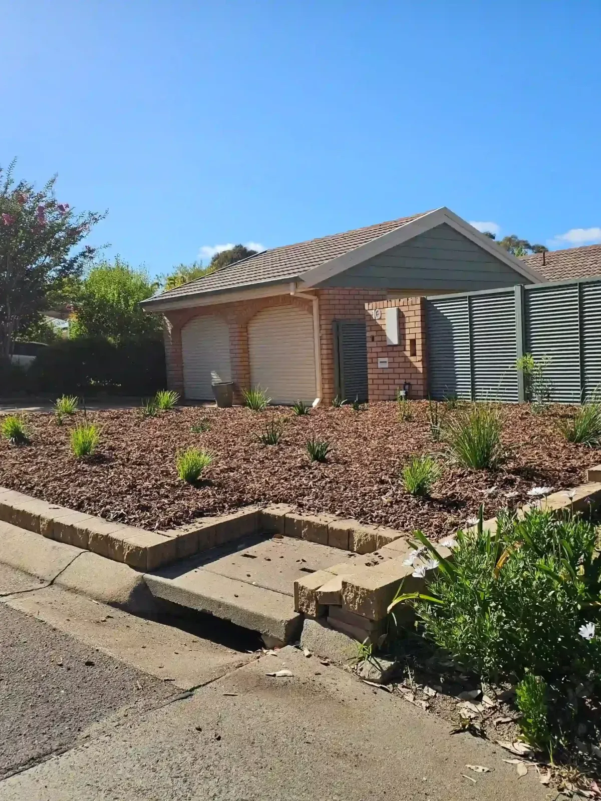 Dust To Lawn landscaping project in Canberra, photo 46